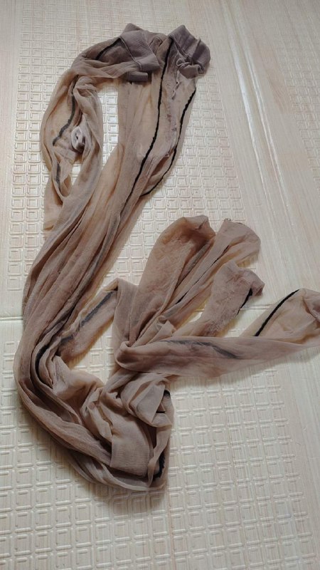 Photo gallery from 20231019, image 4