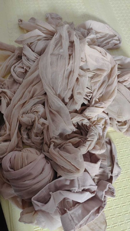 Photo gallery from 20250724, image 10