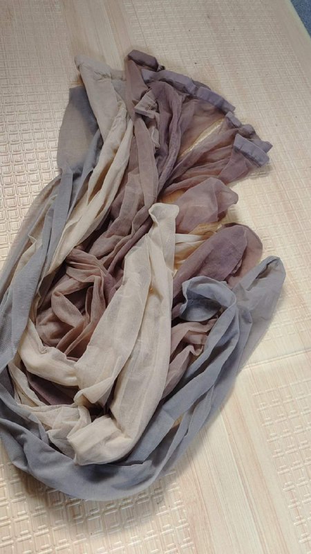 Photo gallery from 20240227, image 3