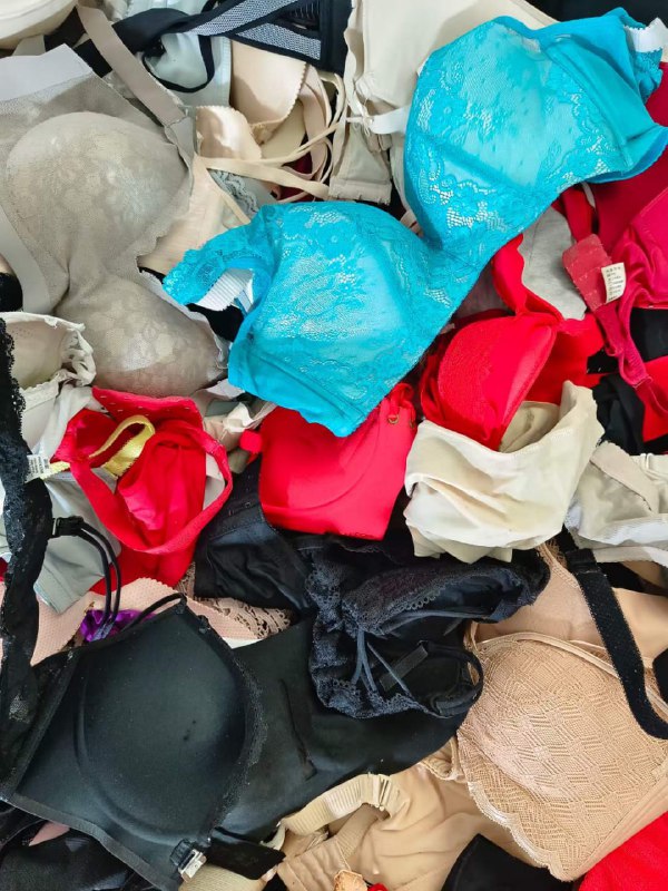 Photo gallery from 20231112, image 4