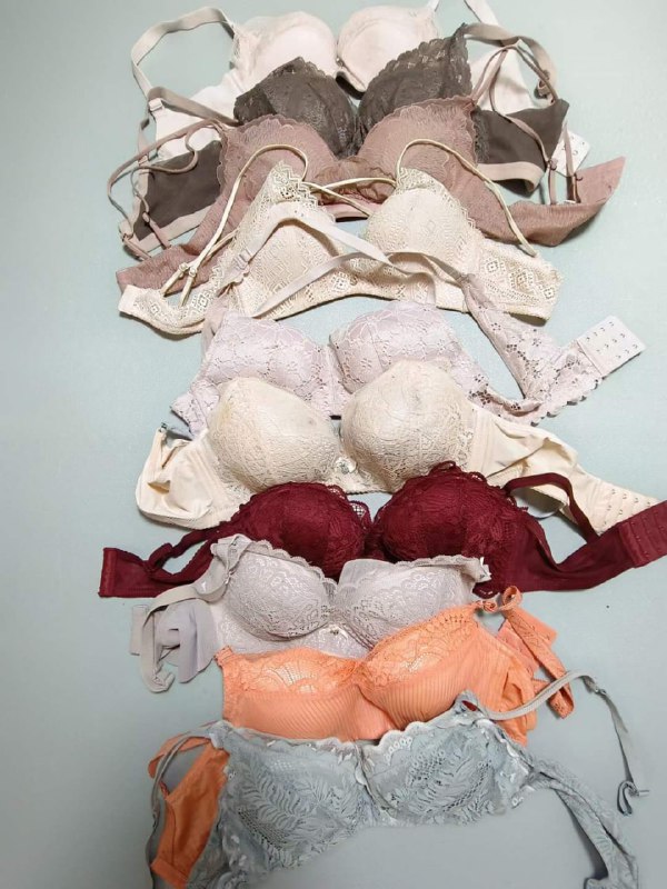 Photo gallery from 20230801, image 7