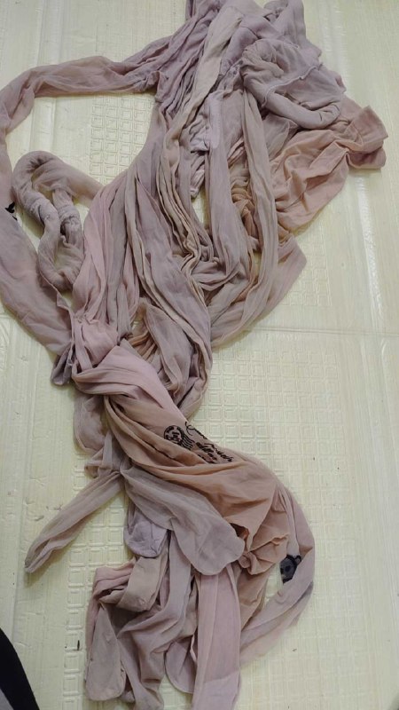 Photo gallery from 20251111, image 6