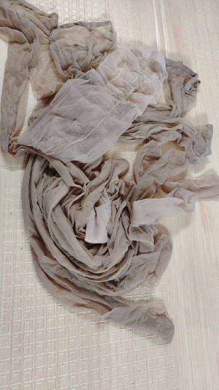 Photo gallery from 20230719, image 7