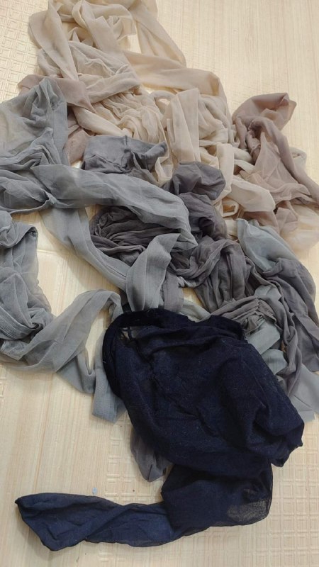 Photo gallery from 20240111, image 6