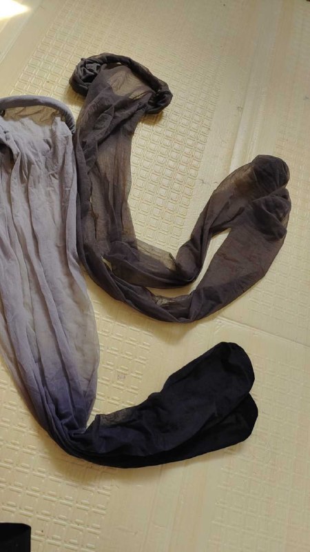 Photo gallery from 20251008, image 5