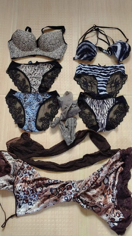 Photo gallery from 20231017, image 3