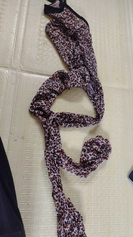 Photo gallery from 20251101, image 11