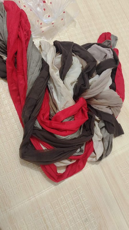 Photo gallery from 20240511, image 4