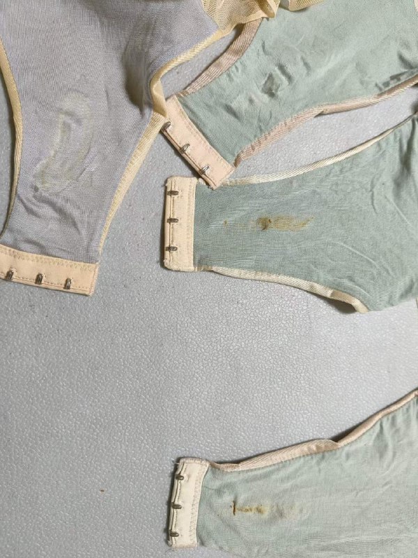 Photo gallery from 20231125, image 1