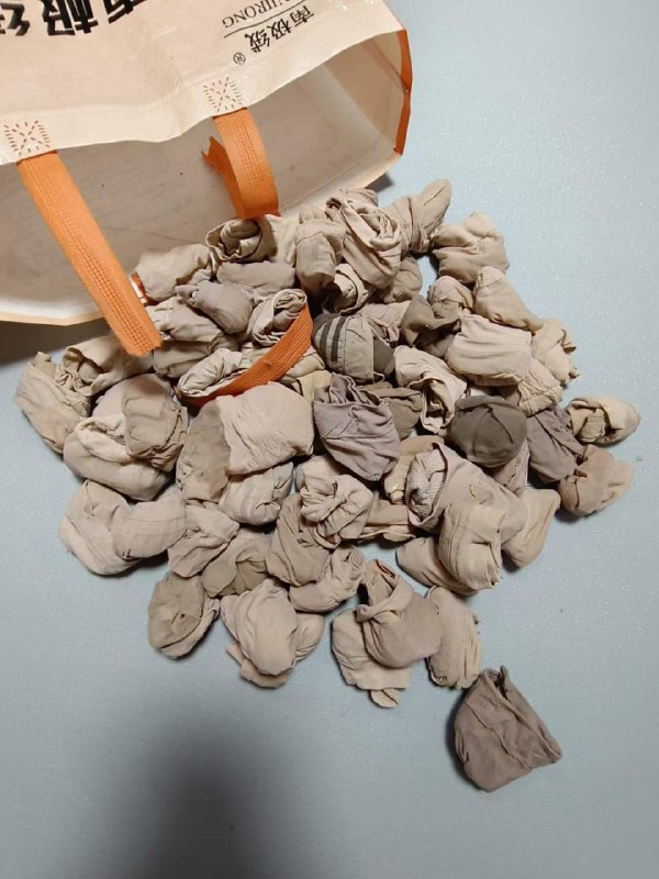 Photo gallery from 20230716, image 8