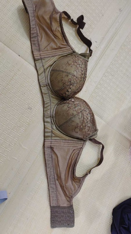 Photo gallery from 20251108, image 1