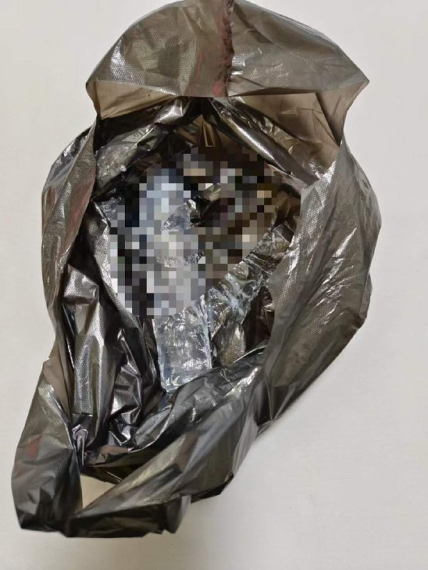 Photo gallery from 20240625, image 9