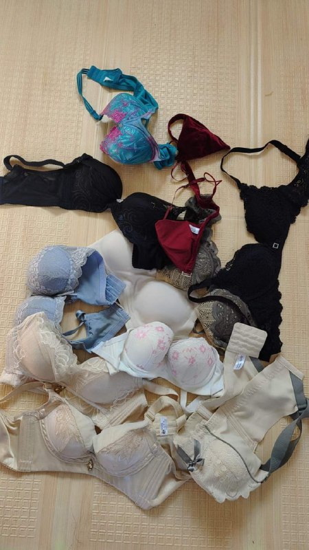 Photo gallery from 20231103, image 12