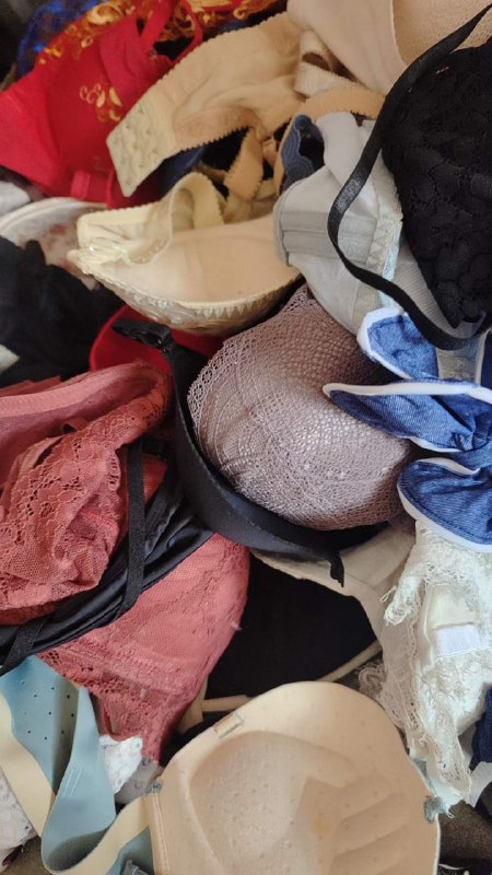 Photo gallery from 20240513, image 5