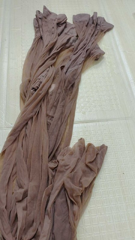 Photo gallery from 20251111, image 8