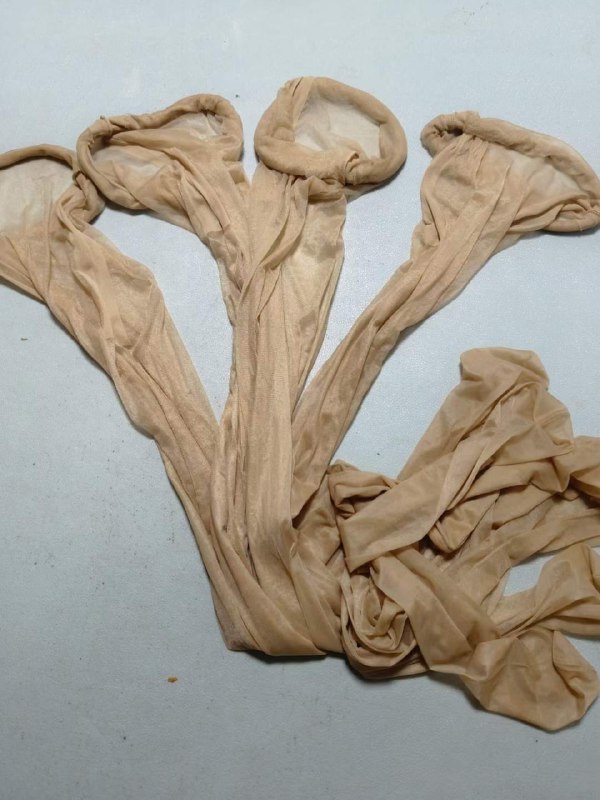 Photo gallery from 20231127, image 12