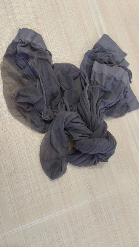 Photo gallery from 20240310, image 3