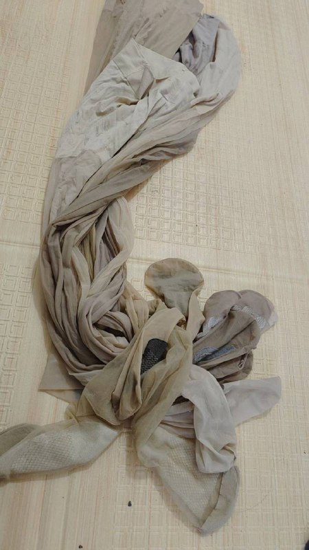 Photo gallery from 20240409, image 4