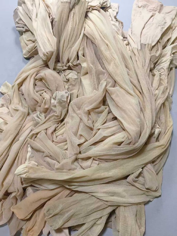 Photo gallery from 20250902, image 7