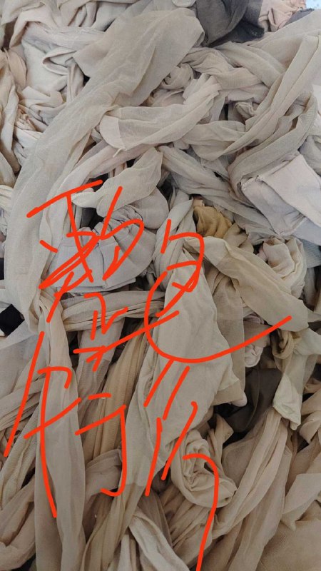 Photo gallery from 20250820, image 4