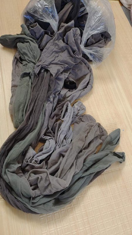 Photo gallery from 20231124, image 10