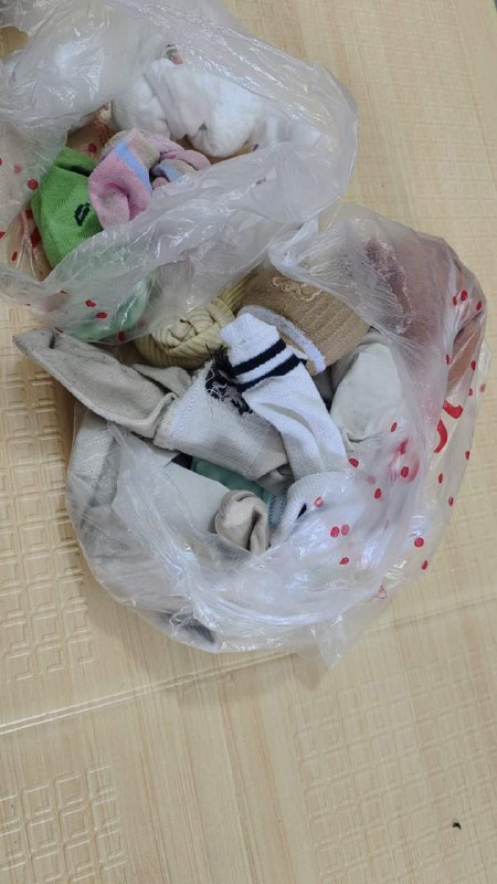 Photo gallery from 20240501, image 1