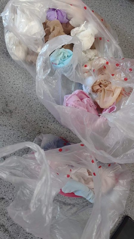 Photo gallery from 20230827, image 8