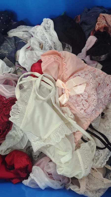 Photo gallery from 20240605, image 10