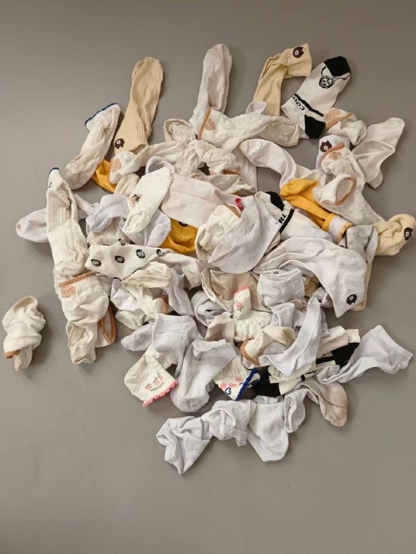 Photo gallery from 20240404, image 4