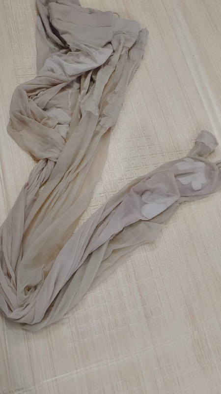 Photo gallery from 20231211, image 4