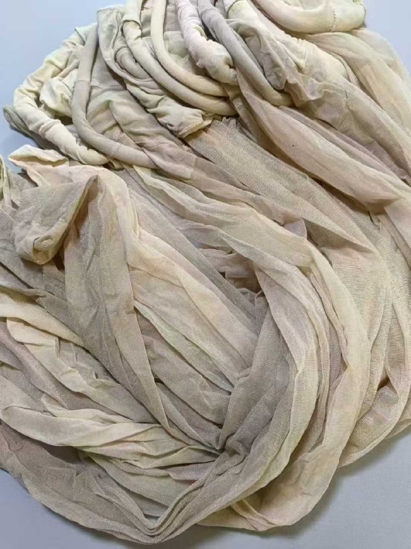 Photo gallery from 20250814, image 5