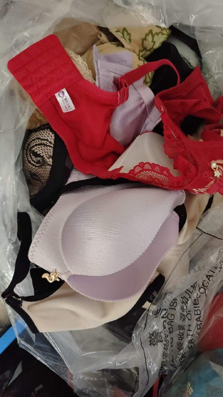 Photo gallery from 20230922, image 3