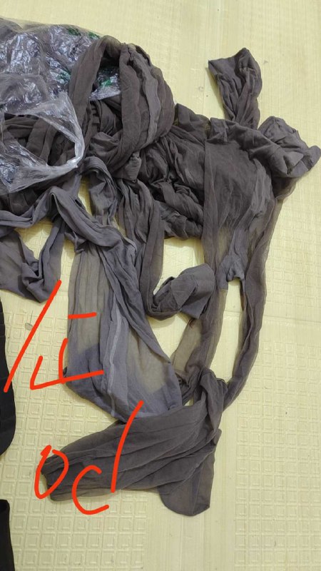 Photo gallery from 20250813, image 2