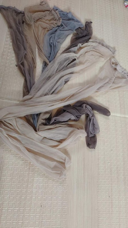 Photo gallery from 20230724, image 5