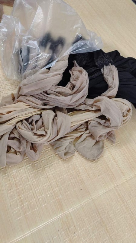 Photo gallery from 20230925, image 1