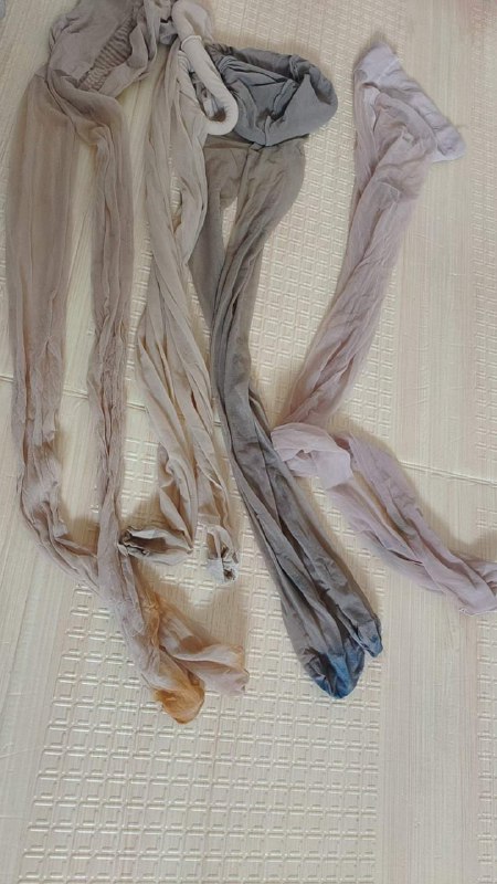 Photo gallery from 20230818, image 11