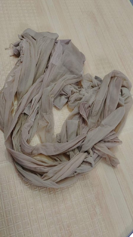 Photo gallery from 20231111, image 7