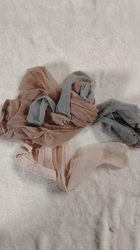 Photo gallery from 20231125, image 11