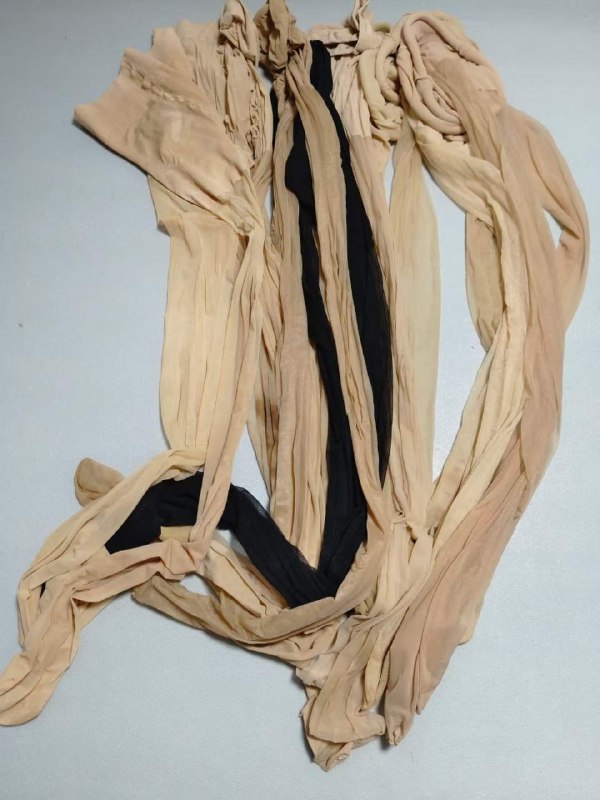 Photo gallery from 20230908, image 8