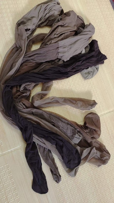 Photo gallery from 20230908, image 2