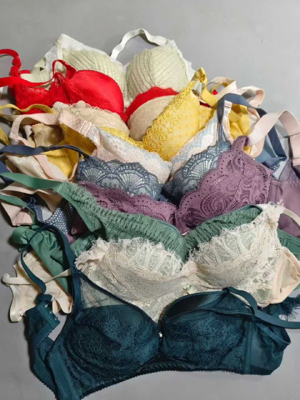 Photo gallery from 20250830, image 5