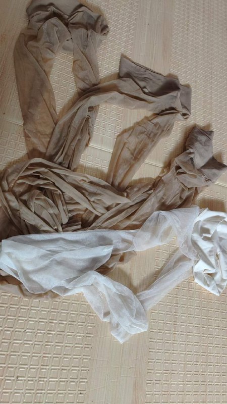 Photo gallery from 20230806, image 6