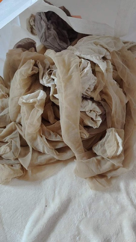 Photo gallery from 20230712, image 9