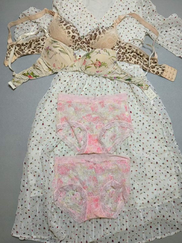 Photo gallery from 20231116, image 12