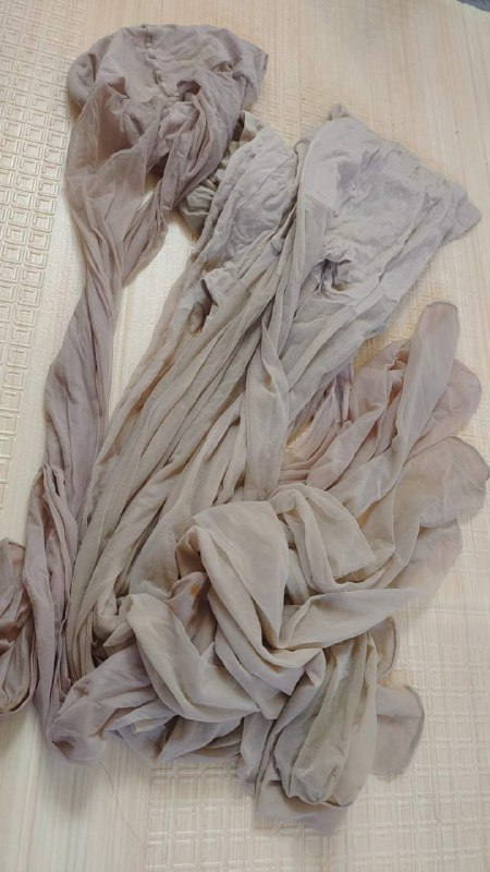 Photo gallery from 20231105, image 4