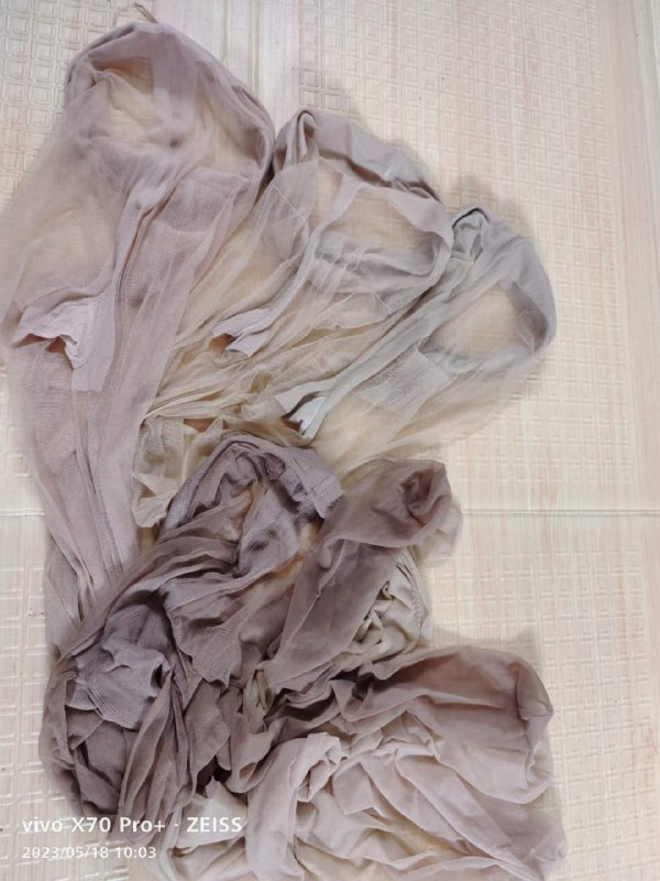 Photo gallery from 20230518, image 10