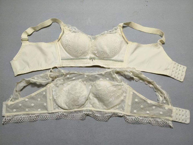 Photo gallery from 20231112, image 11