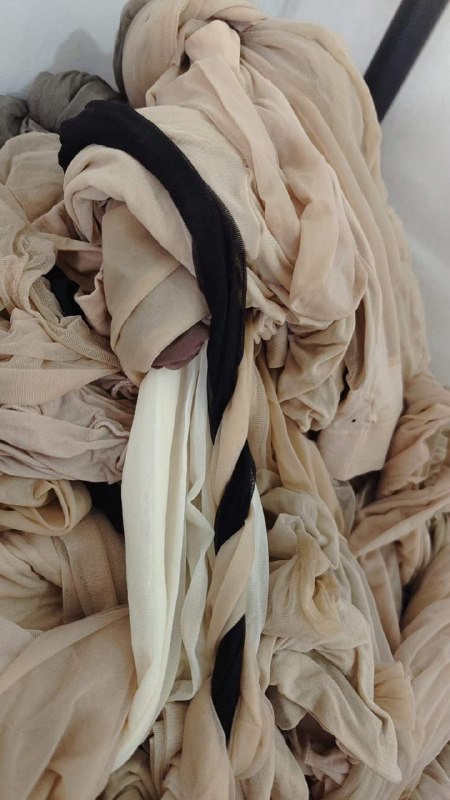 Photo gallery from 20231107, image 9