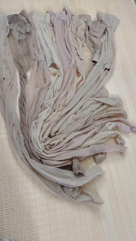 Photo gallery from 20231116, image 8