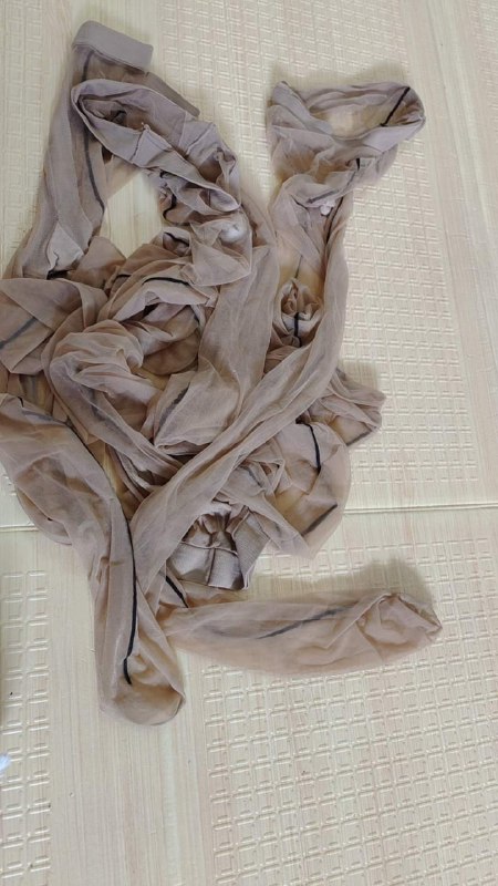 Photo gallery from 20230905, image 12